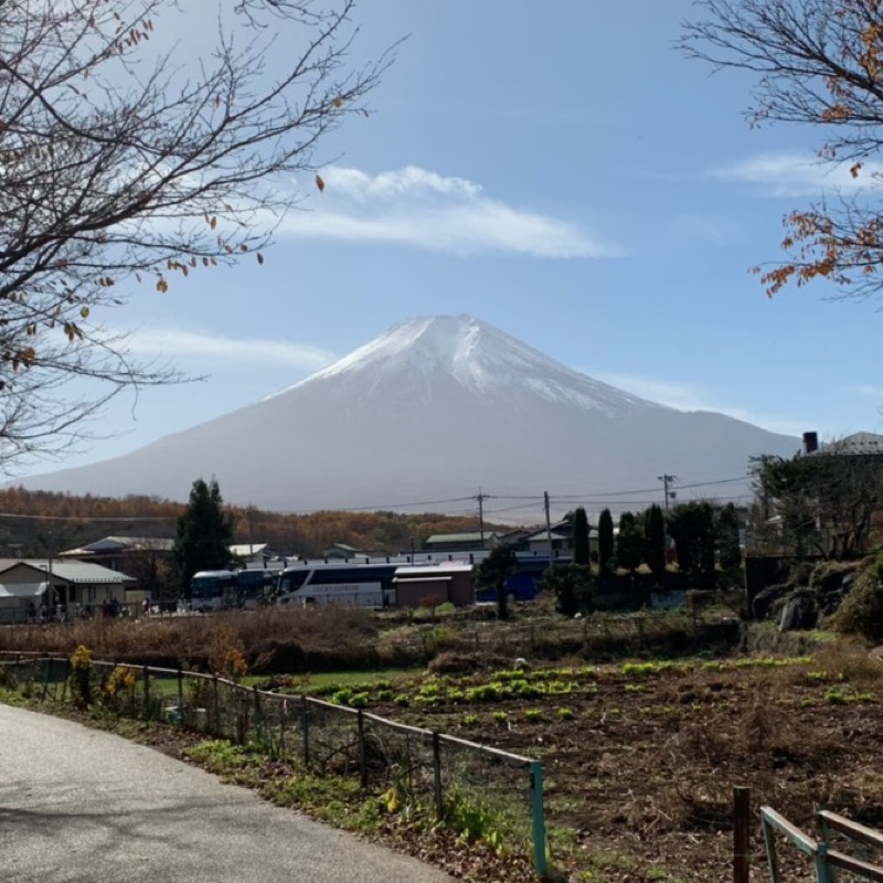 User_731085165