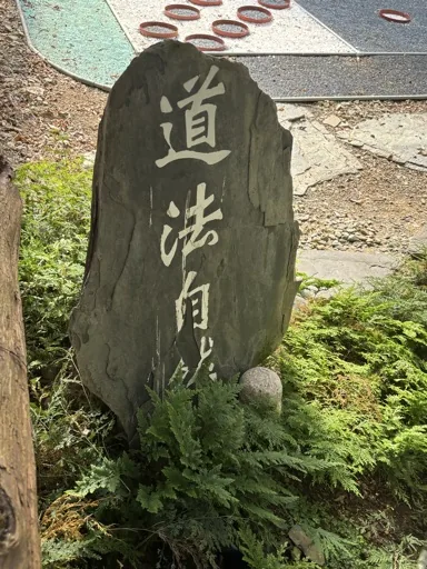 道法自然