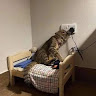 User_1004065524