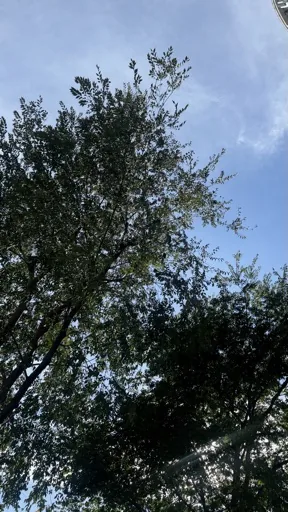 HSU