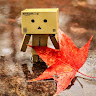 user_410912734