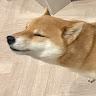 User_843597226