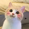Tim