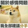 周玟杉