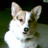 user_649179664