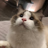 User_3453237669