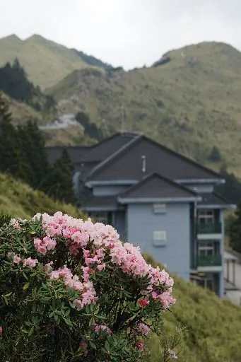 Chaoming