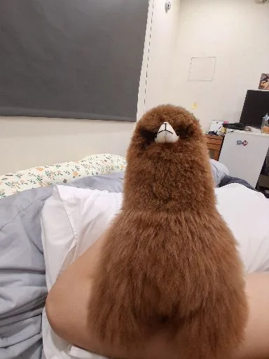 user_4156721316