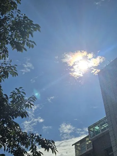 軒