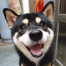 user_1389642147