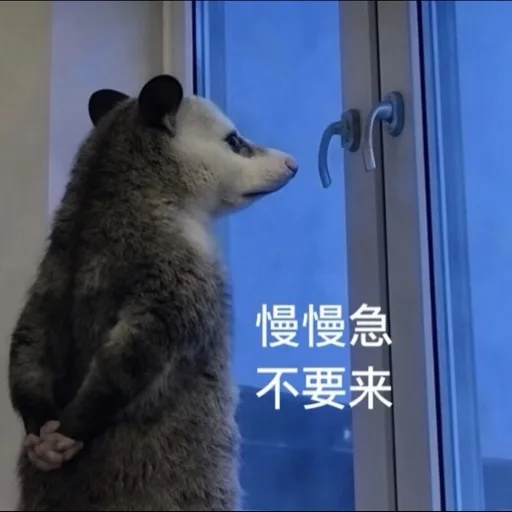 渣