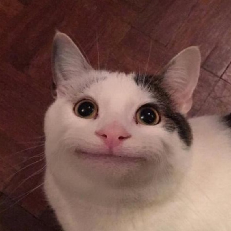 user_3597387351