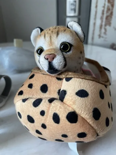 lulucat