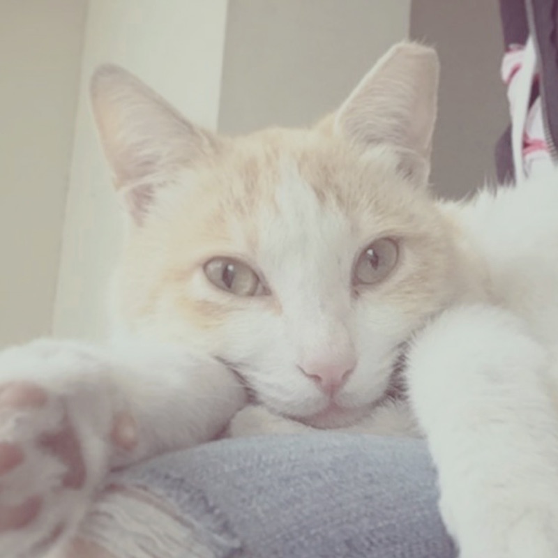 Sunnie