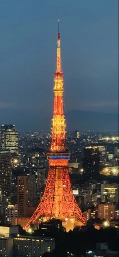 User_2147499250