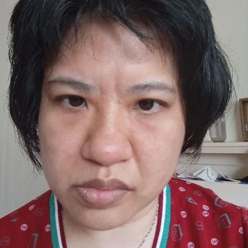 何婕安
