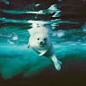 User_1083773336