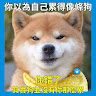 User_2529903944