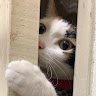 User_2434507462