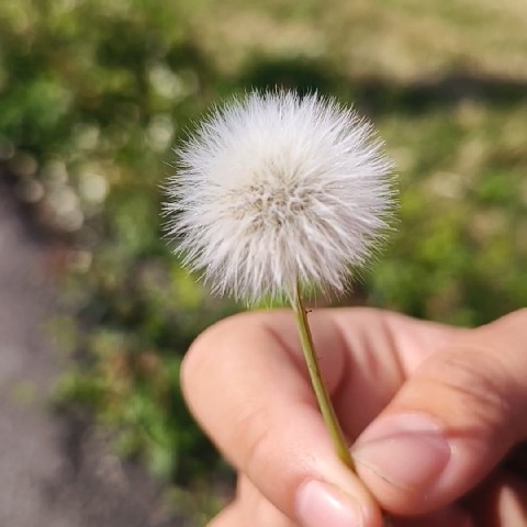 容容
