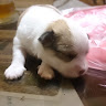 User_2134917875