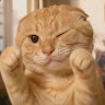 User_4291253541