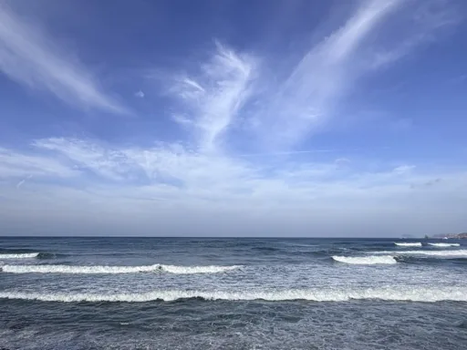 沖神