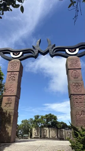 小白