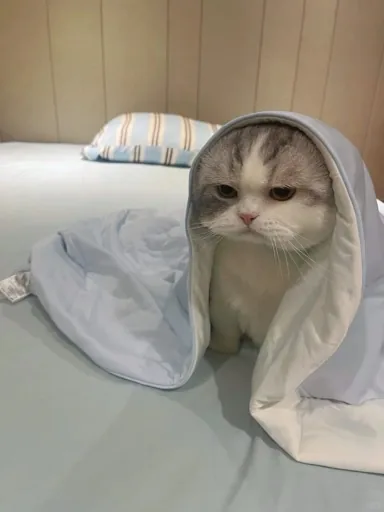 李