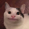 羽