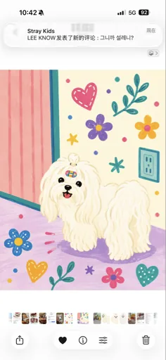 Ti Ti小日子