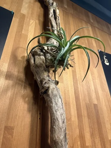 user_533767784