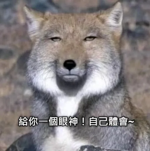 王海賊