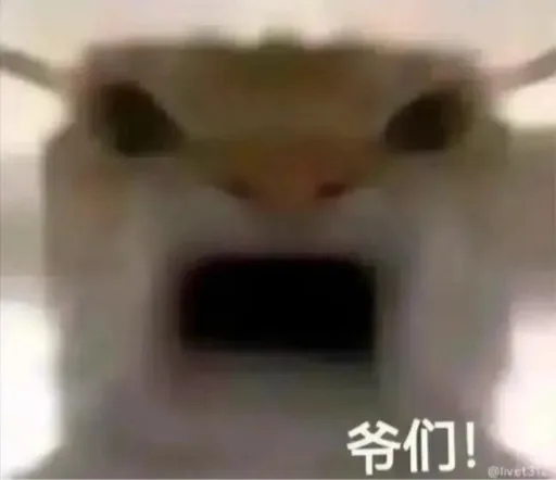 陳宥鈞