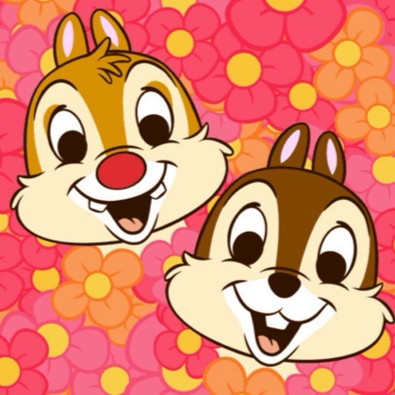 user_252088844