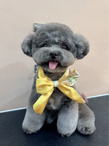 user_127284638