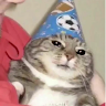 User_891296496