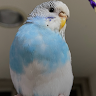 Egg20260831