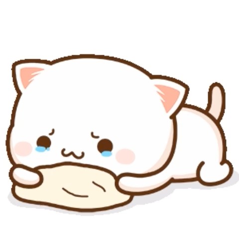 User_95229406