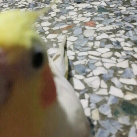 user_2367240459