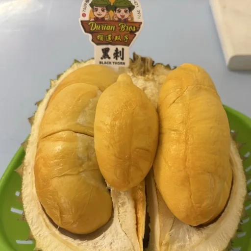 薩米