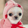 User_2697797952