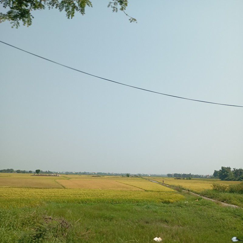 aag970958