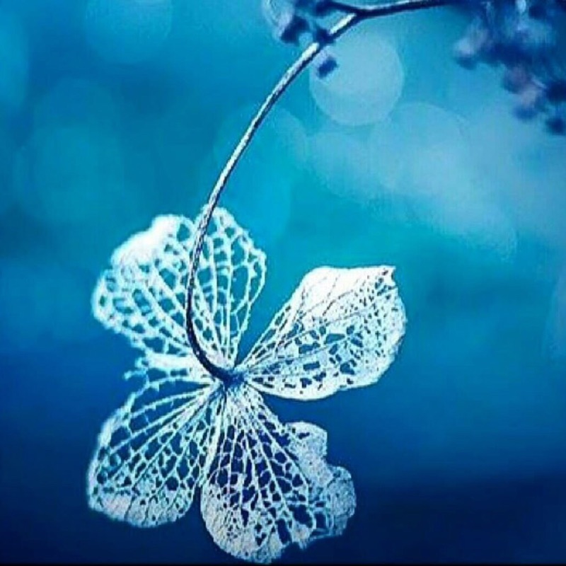 user_365159313