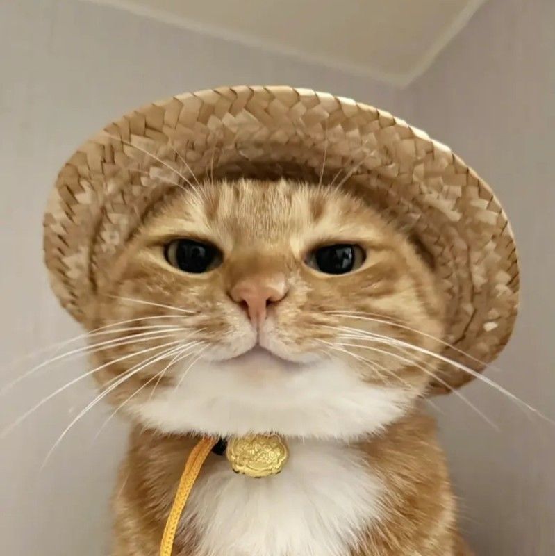 Vic