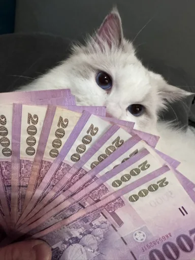 KUKI