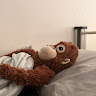 user_4278022252