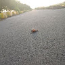 郭量盛