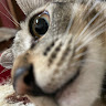 User_1374187500