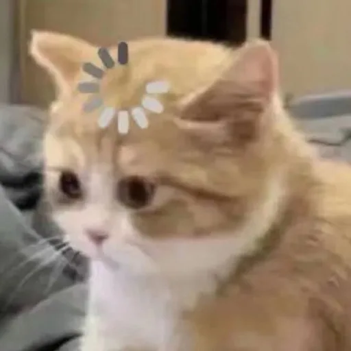 陳翊杰